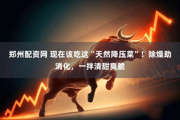 郑州配资网 现在该吃这“天然降压菜”！除燥助消化，一拌清甜爽脆